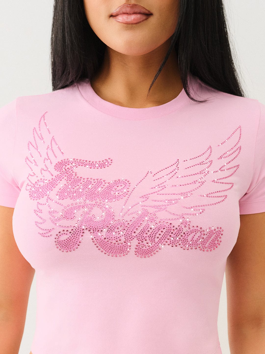 True Religion Women Pink Embellished Round Neck Top