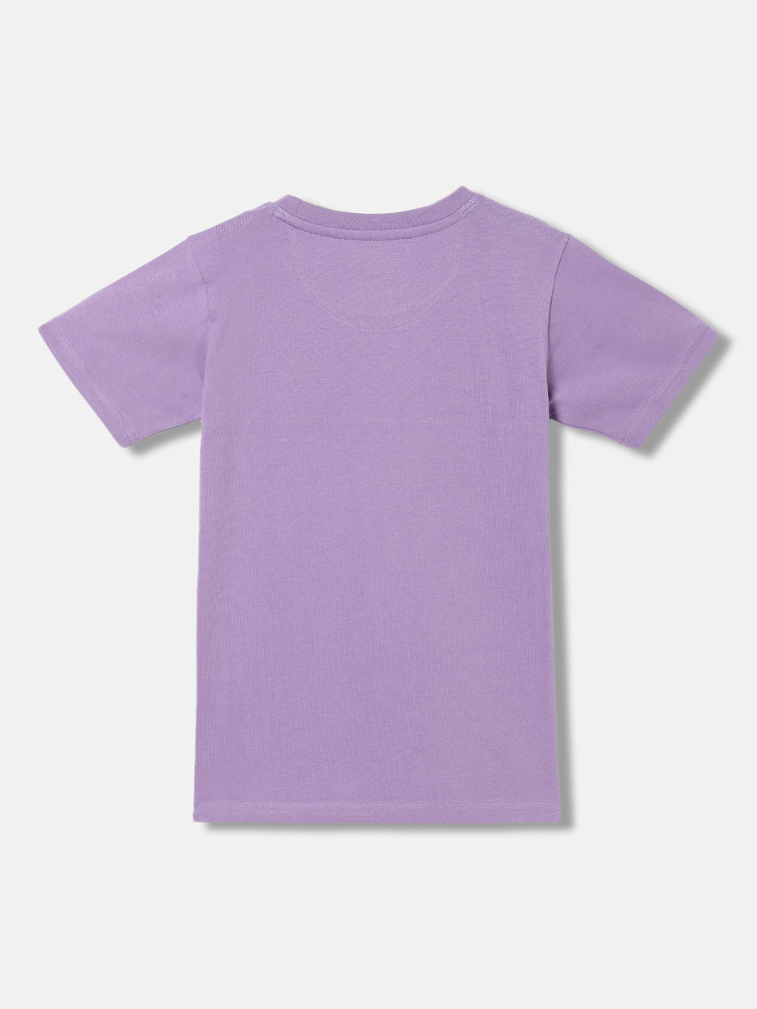 Blue Giraffe Boys Lavender Color-Blocked Round Neck Short Sleeves Tshirt