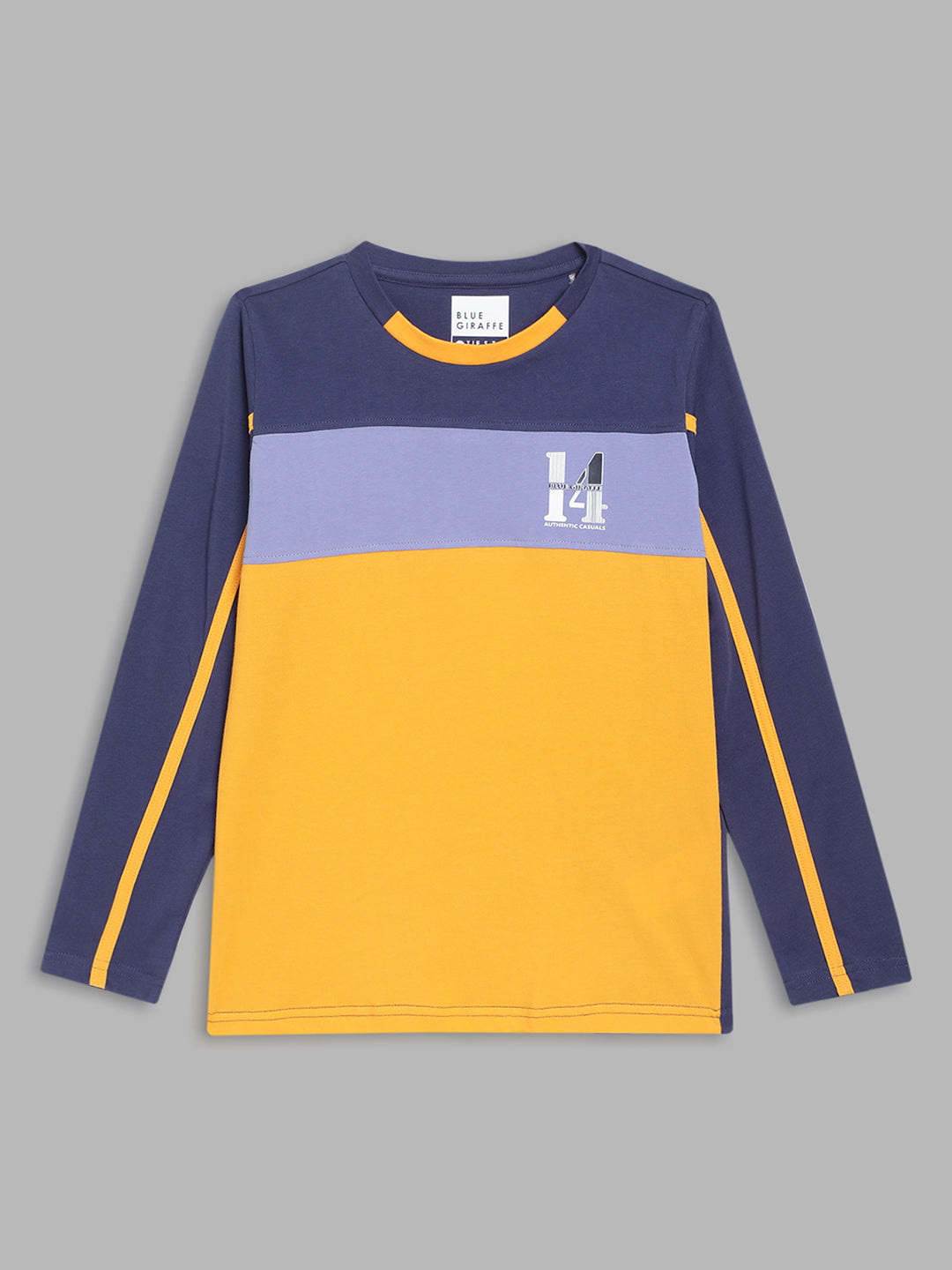 Blue Giraffe Boys Multicolor Colorblocked Round Neck Full Sleeves Tshirt