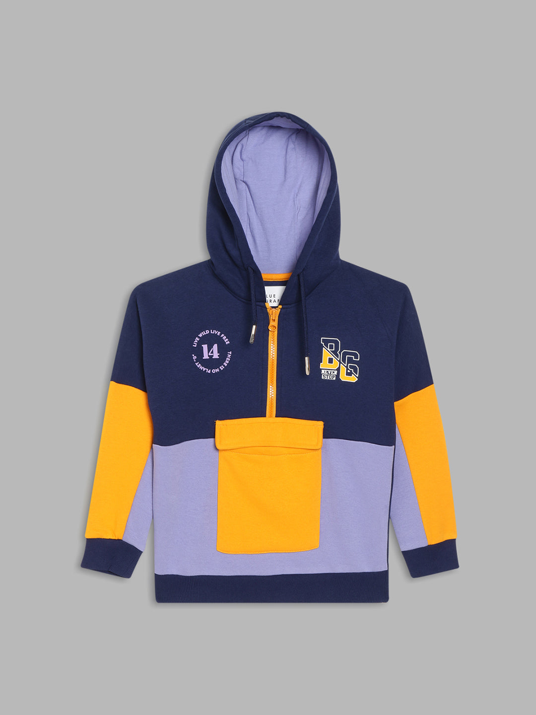 Shop Blue Giraffe Boys Blue Color-Blocked Hooded Full Sleeves Pullover  Style Sweatshirt Online