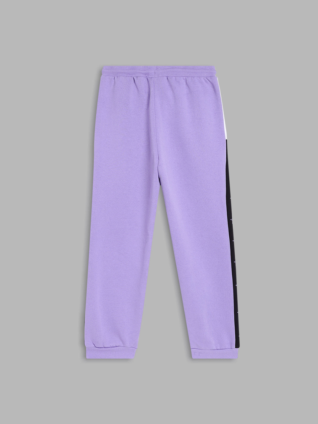 Blue Giraffe Girls Purple Colorblocked Regular Fit Mid-Rise Jogger Style Track Pants