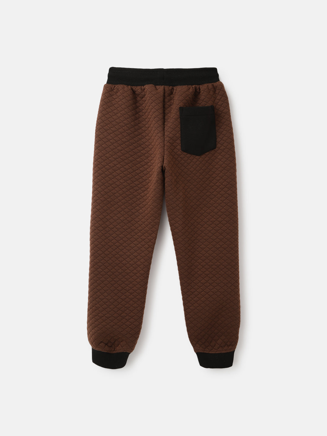 Blue Giraffe Boys Brown Solid Regular Fit Mid-Rise Jogger Style Track Pants