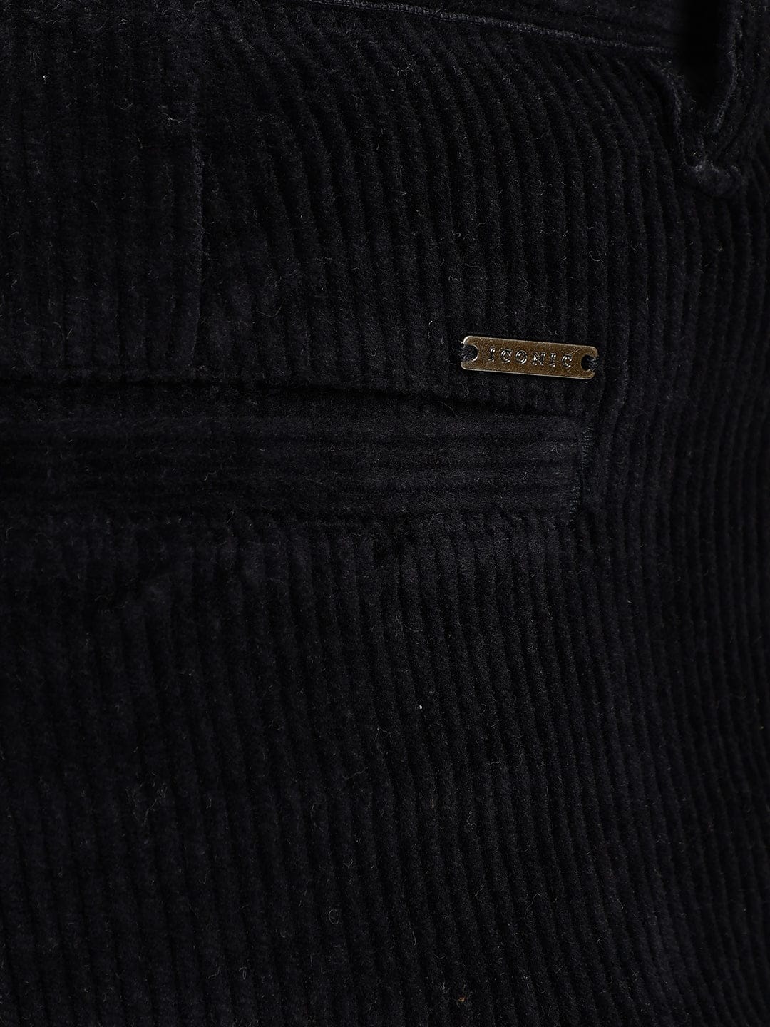 Iconic Men Blue Regular Fit Solid Trouser