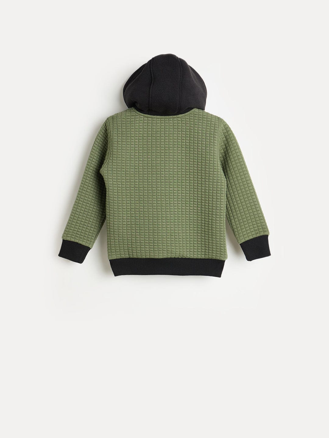 Blue Giraffe Boys Regular Fit Green Hoodie Sweatshirt