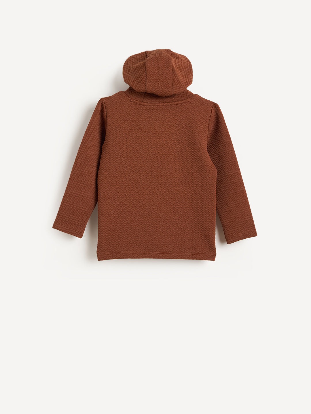 Blue Giraffe Boys Brown Solid Hoodie