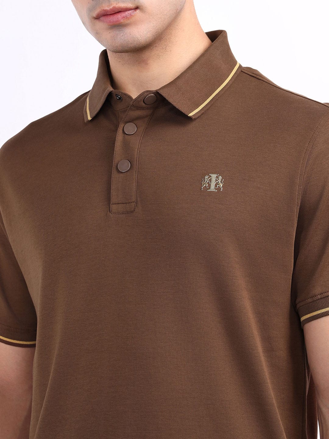 Iconic Men Brown Solid Polo Tshirt