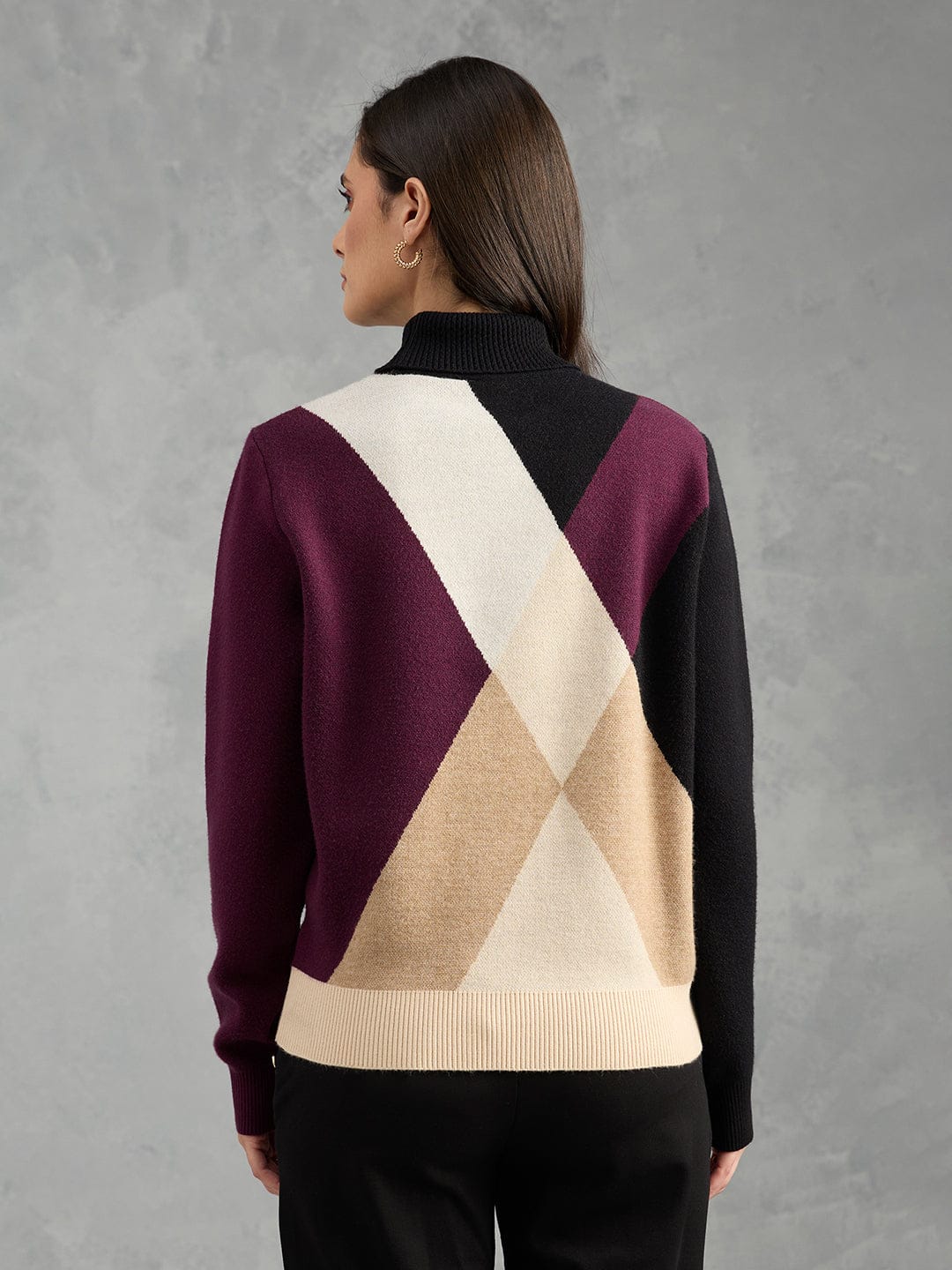 Iconic Women Multicolor Textured High Neck Sweater