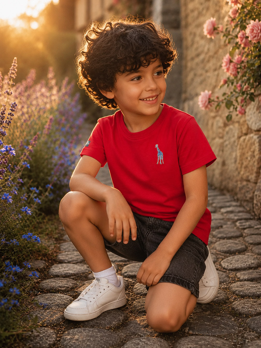 Blue Giraffe Boys Red Core Round Neck T-Shirt