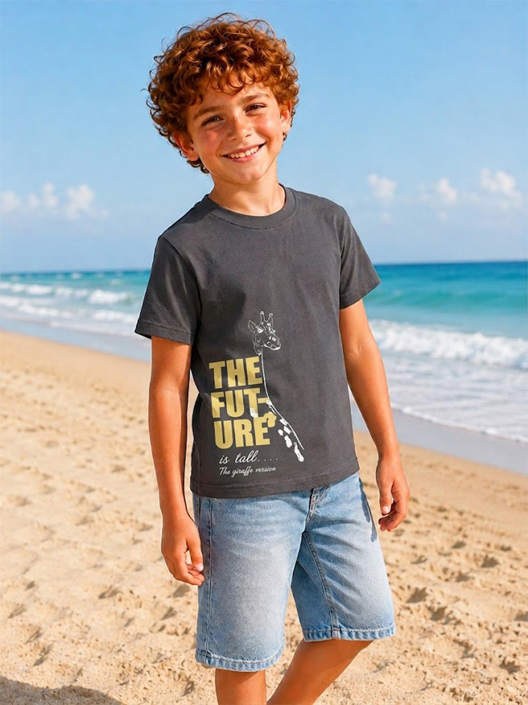 Blue Giraffe Boys Grey Printed Regular Fit Pure Cotton T-Shirt