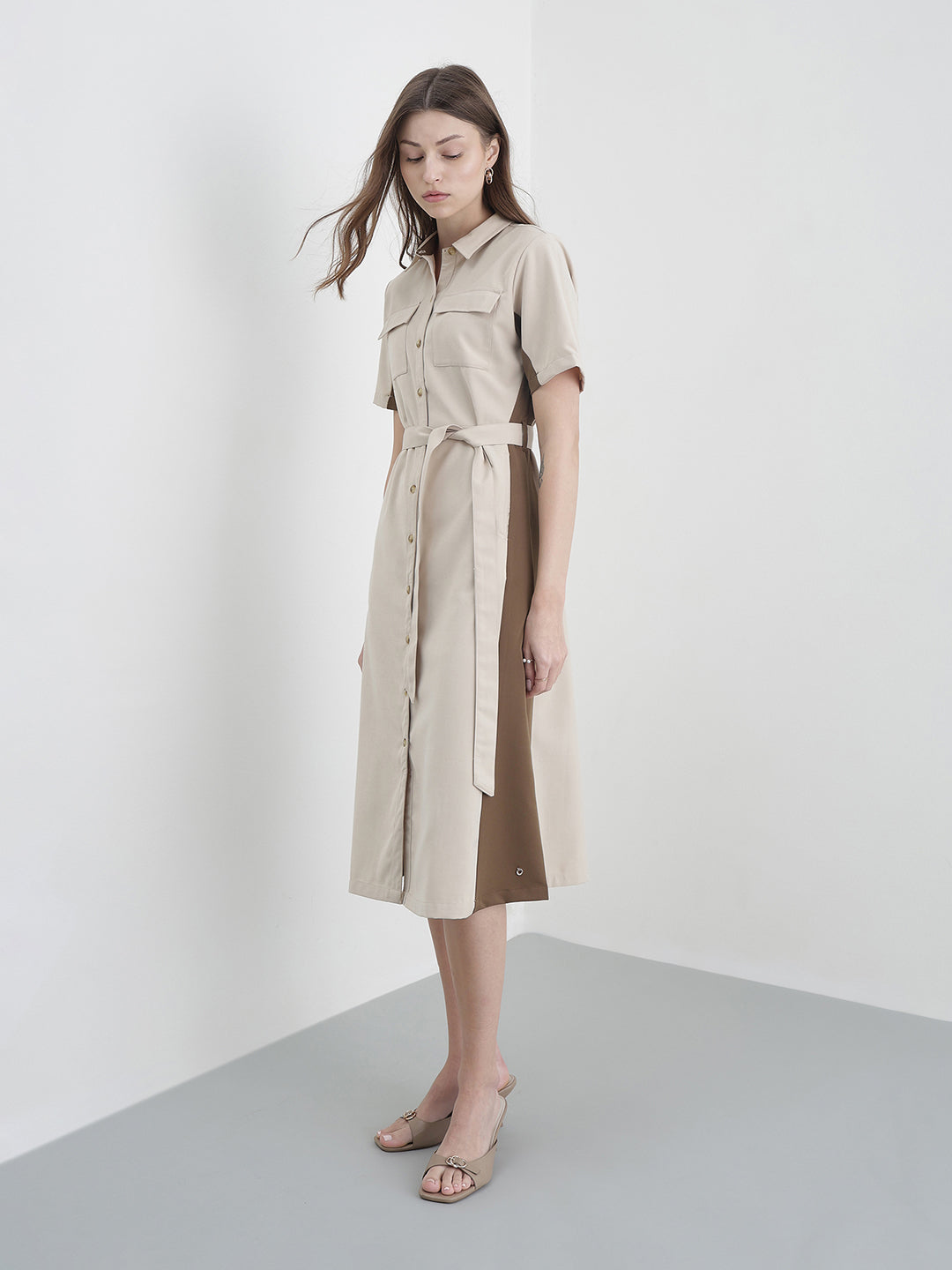 Iconic Women Beige Colourblocked Dress
