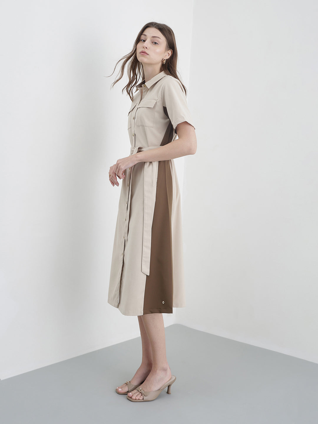 Iconic Women Beige Colourblocked Dress