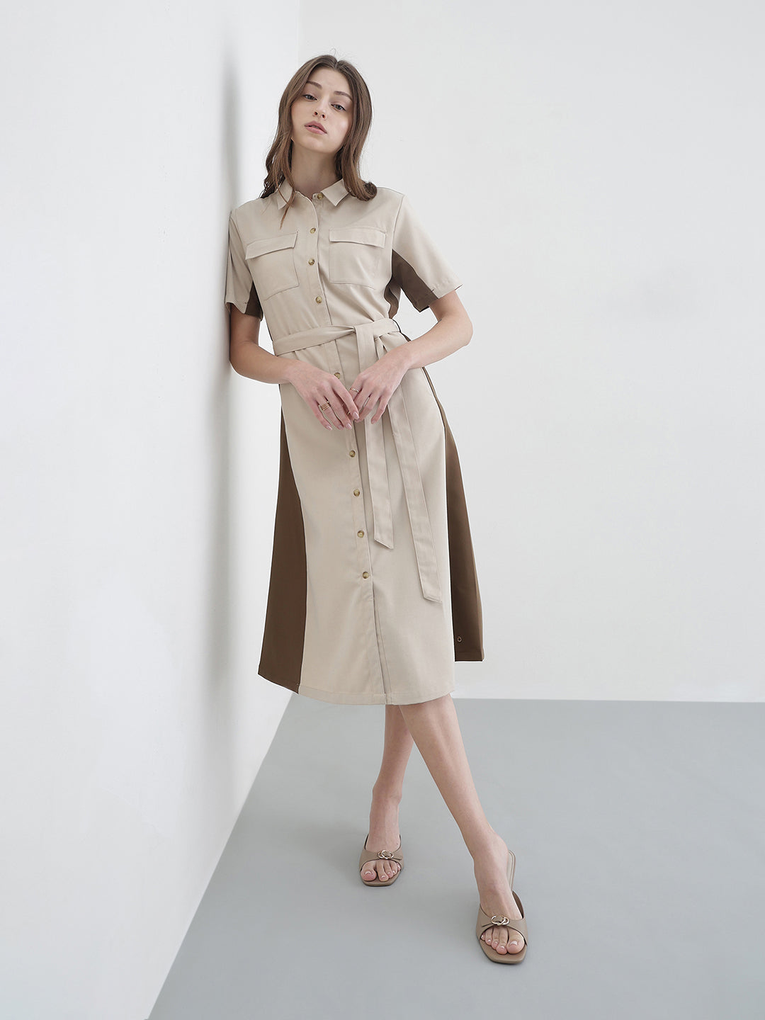 Iconic Women Beige Colourblocked Dress