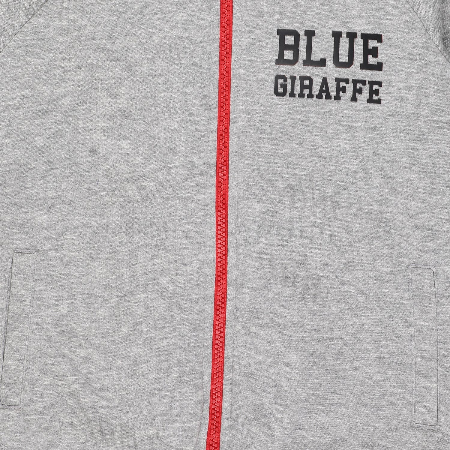 Blue Giraffe Boys Sweatshirt