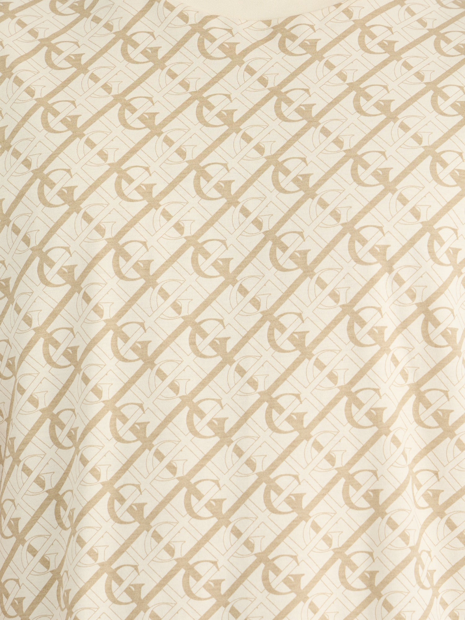 Gant Men Cream Regular Fit Printed Crew Neck Tshirt