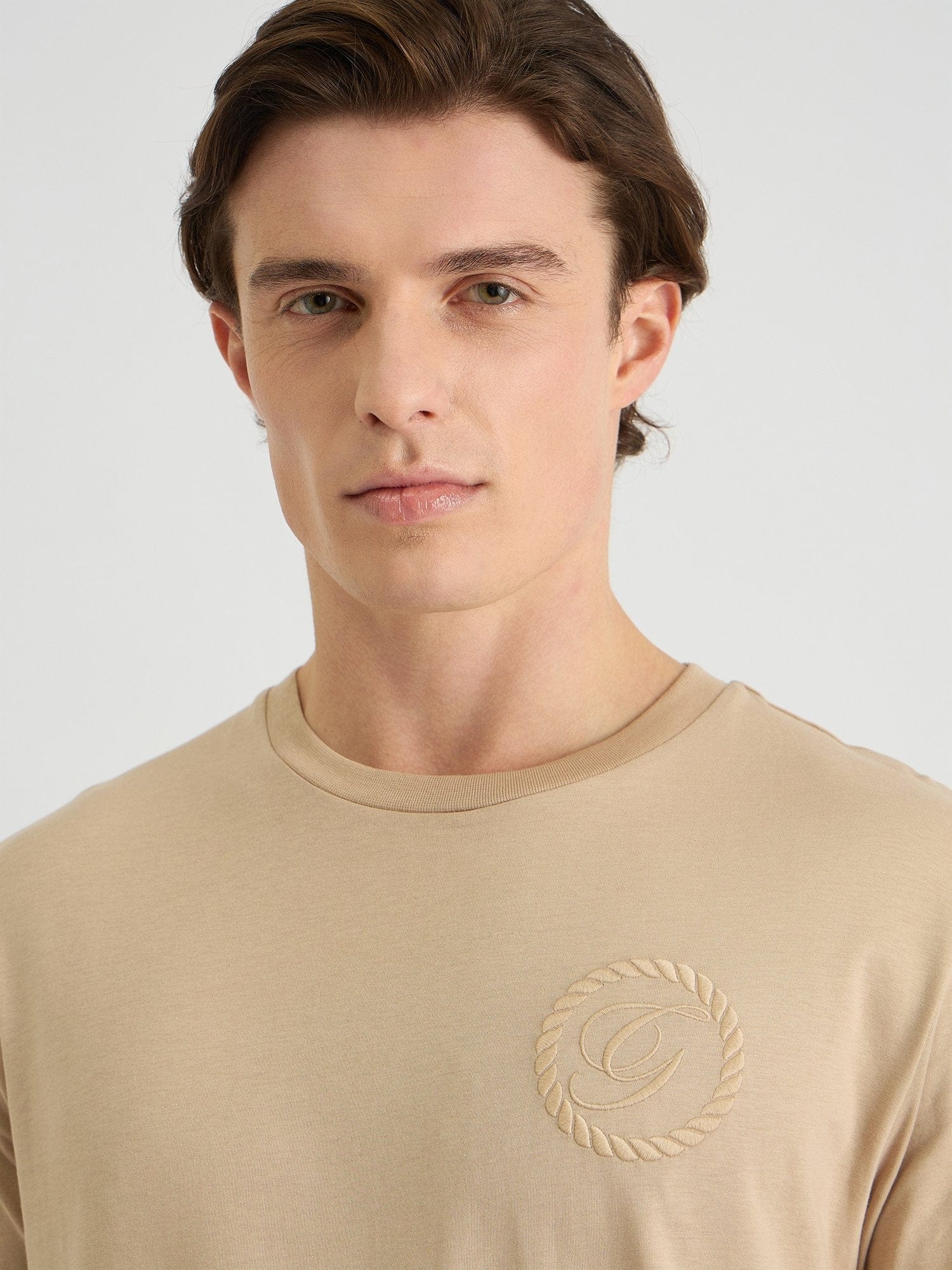 Gant Men Beige Regular Fit Solid Crew Neck Tshirt
