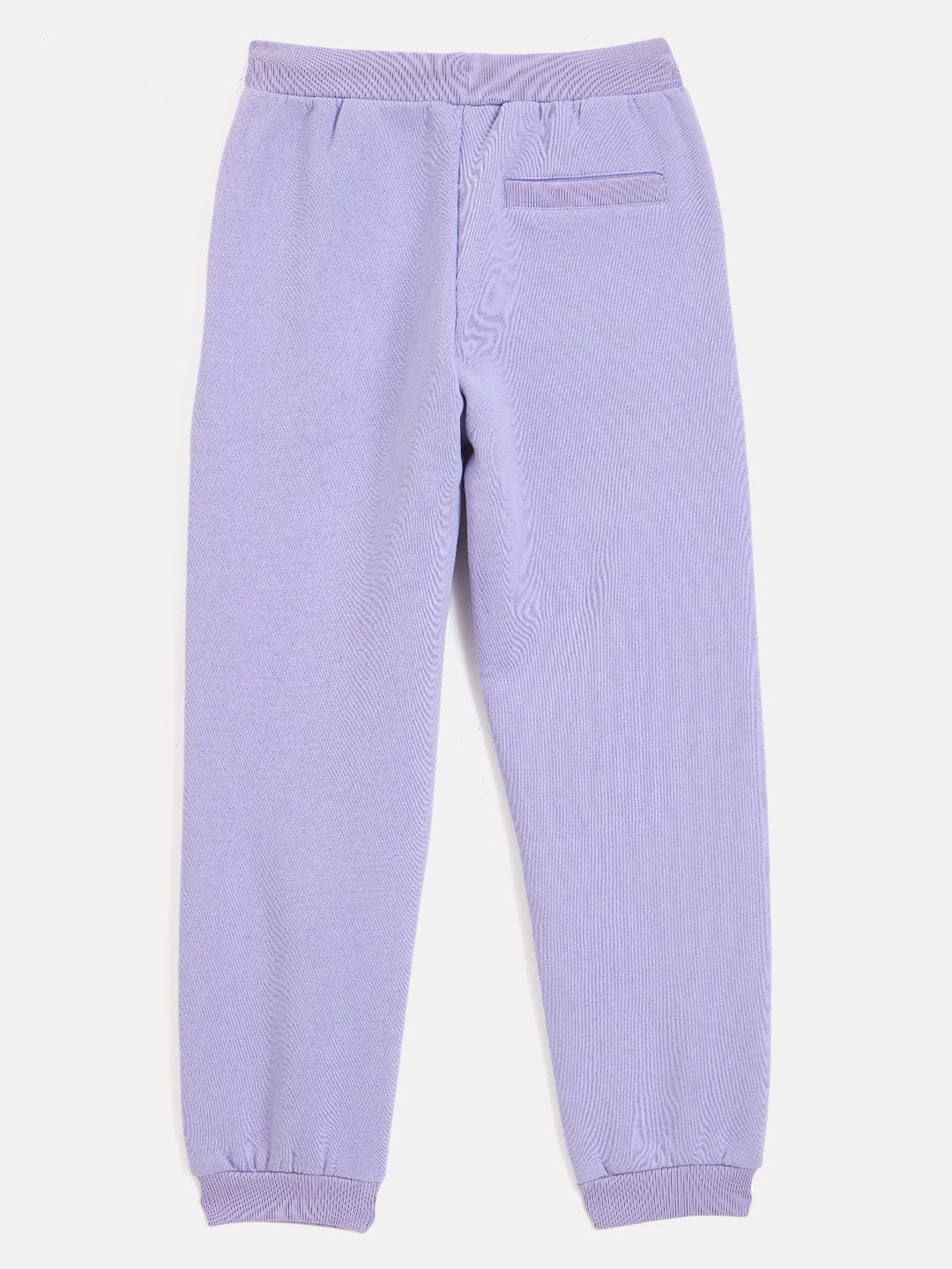 Blue Giraffe Girls Purple Regular Fit Sweatpant
