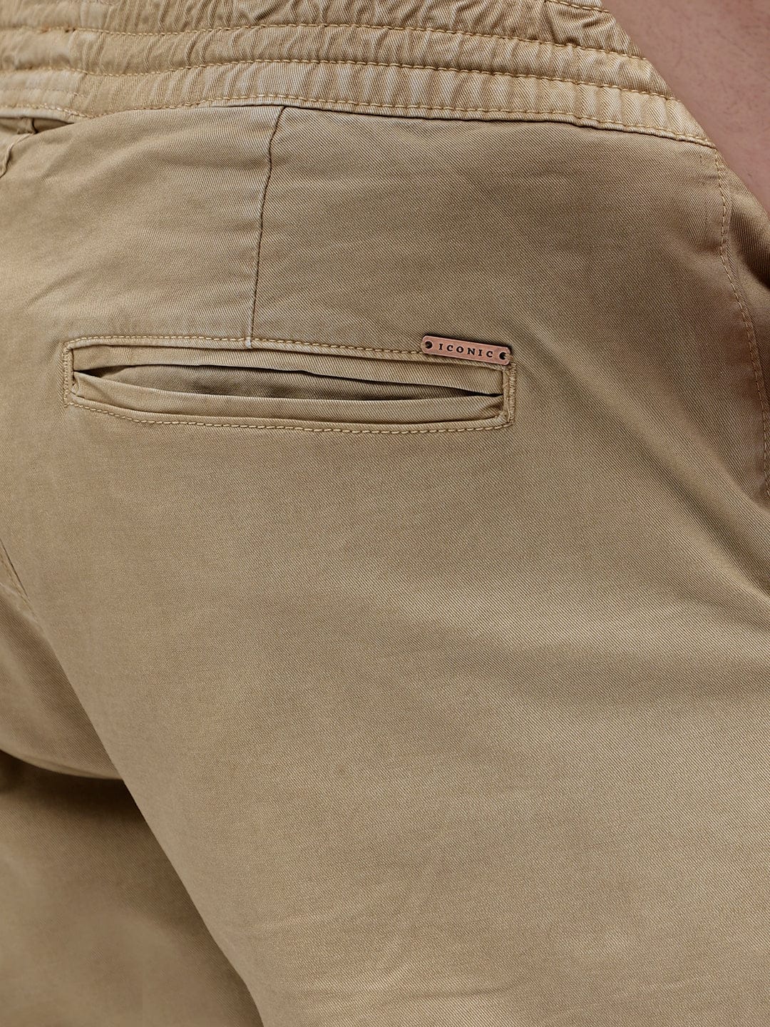 Iconic Men Beige Regular Fit Trouser