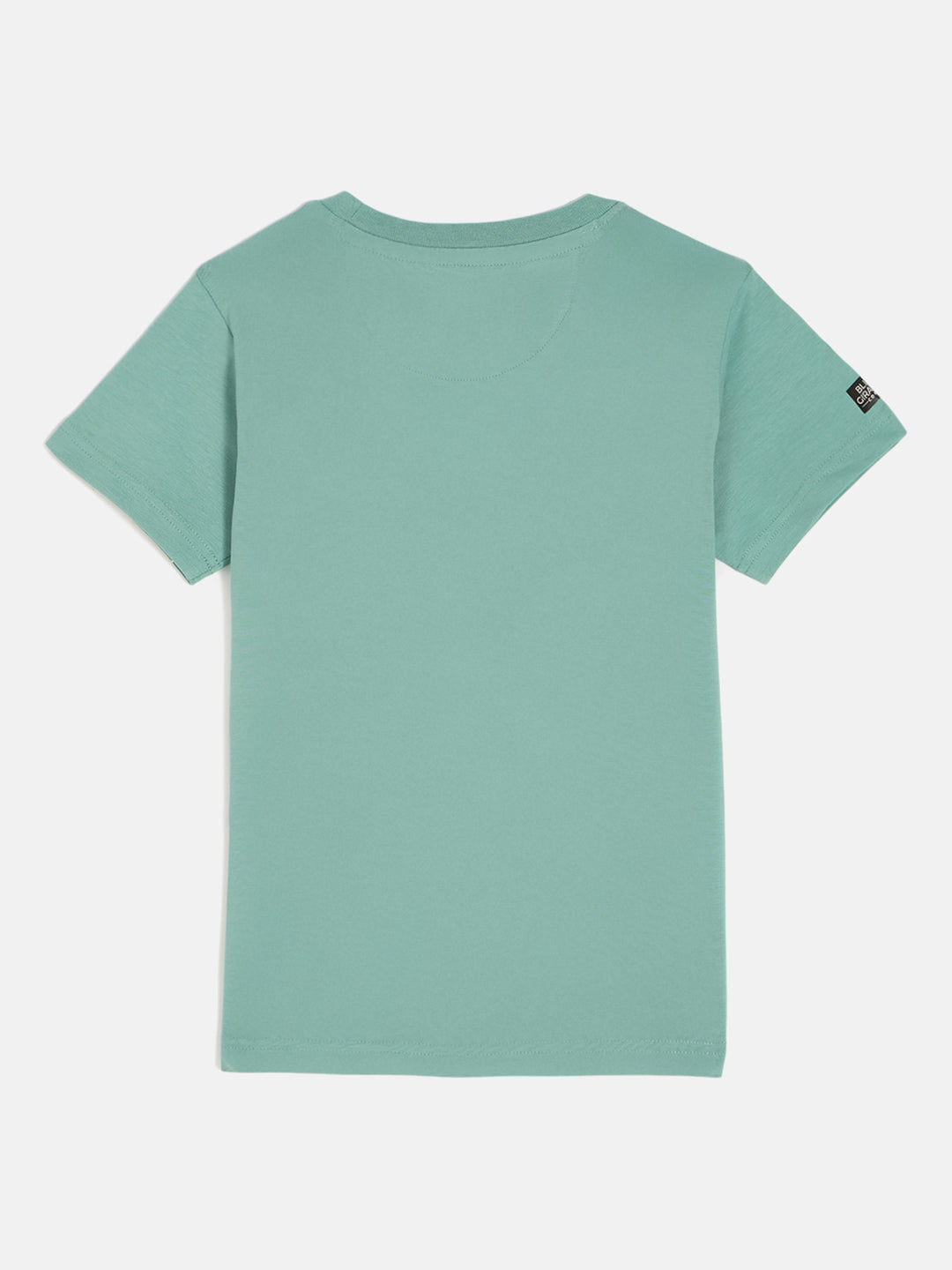 Blue Giraffe Boys Green Round Neck Short Sleeves Tshirt
