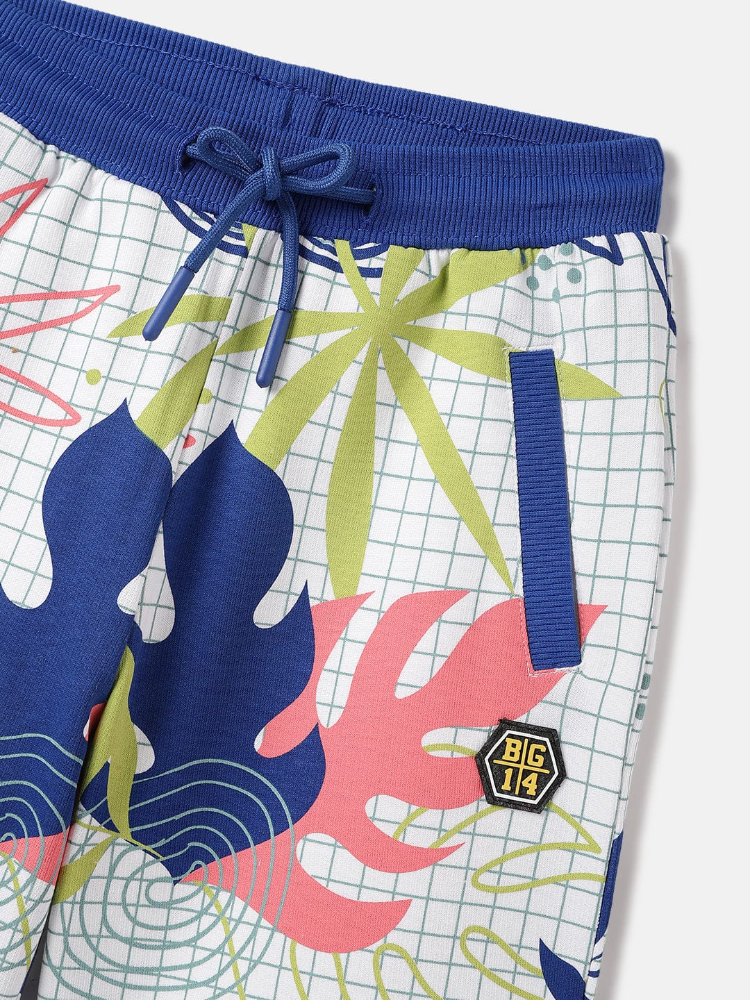 Blue Giraffe Kids Multi Regular Fit Printed Shorts