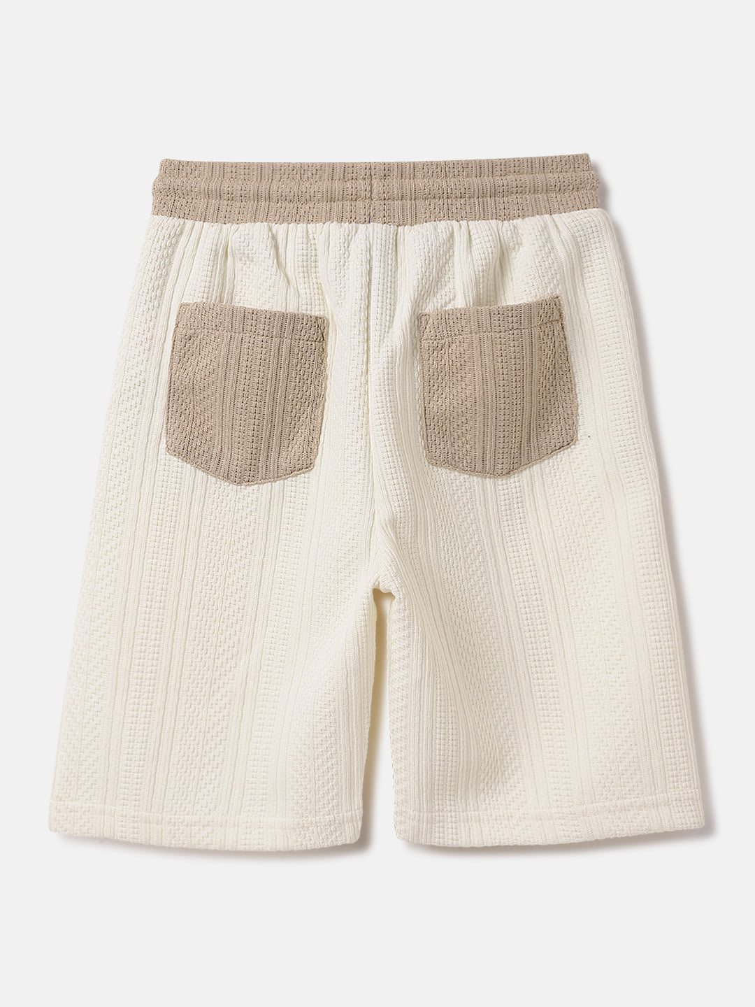 Blue Giraffe Kids Multi Regular Fit Textured Shorts