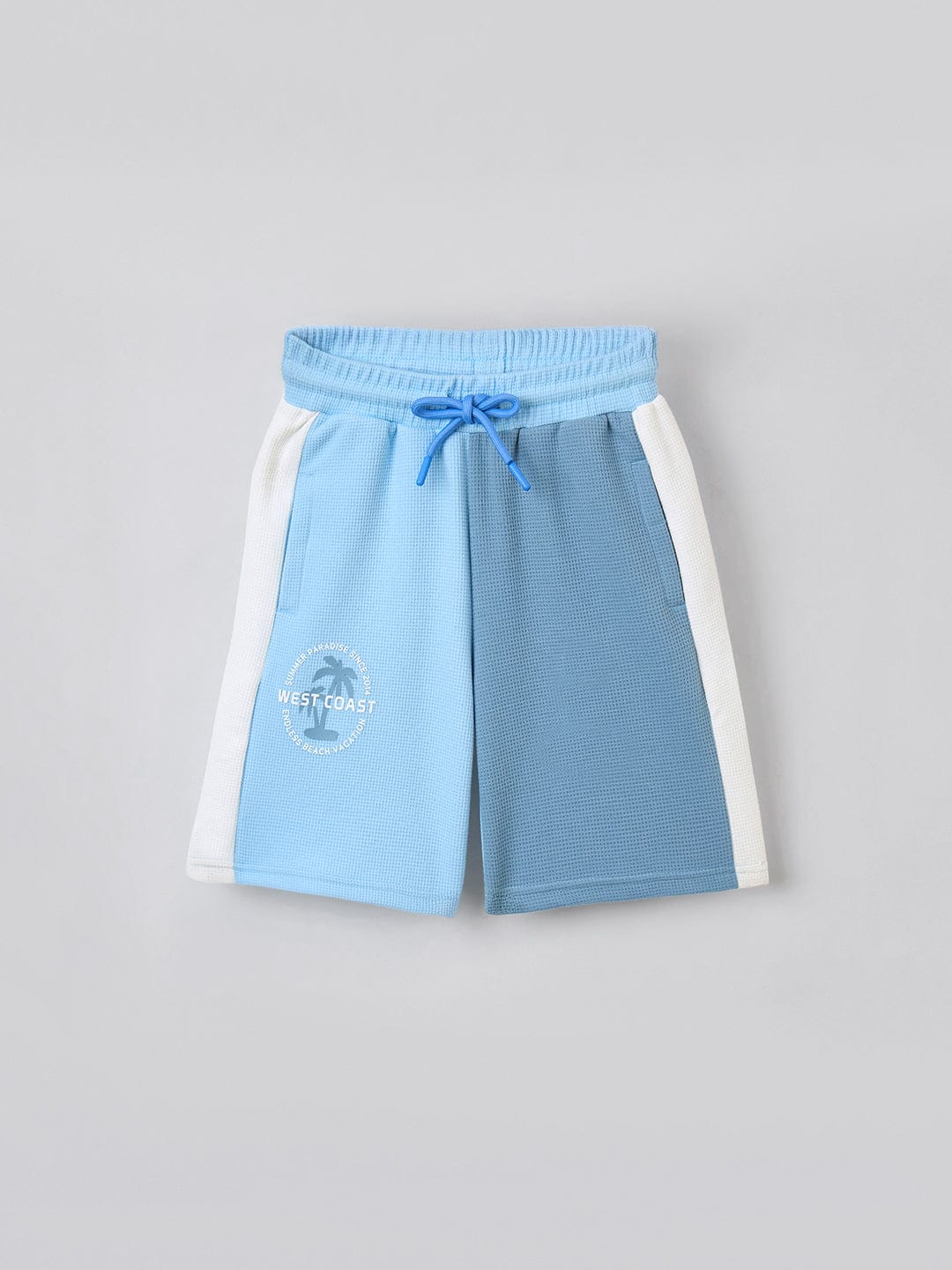Blue Giraffe Boys Multicolor Regular Fit Textured Shorts