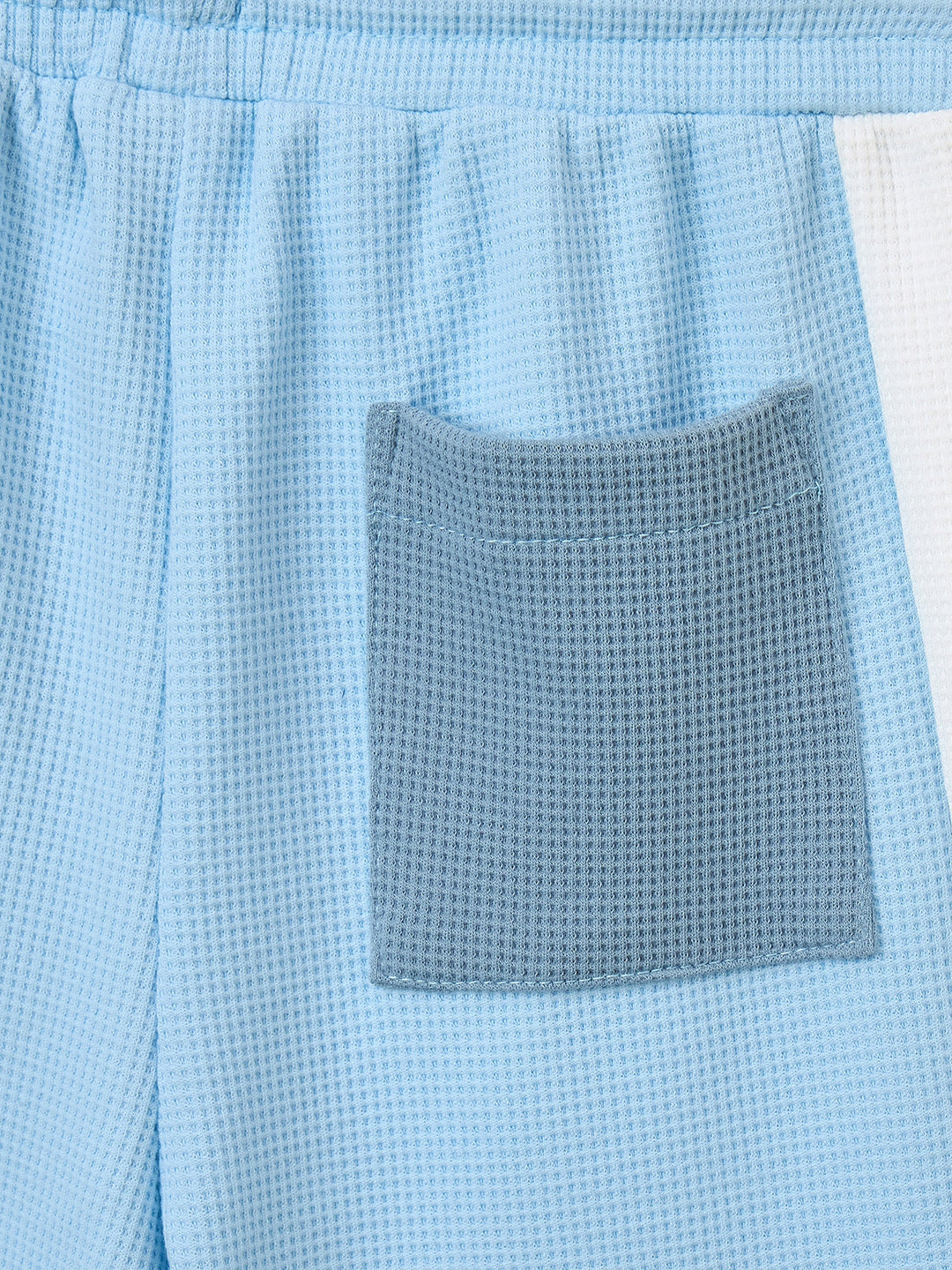 Blue Giraffe Boys Multicolor Regular Fit Textured Shorts