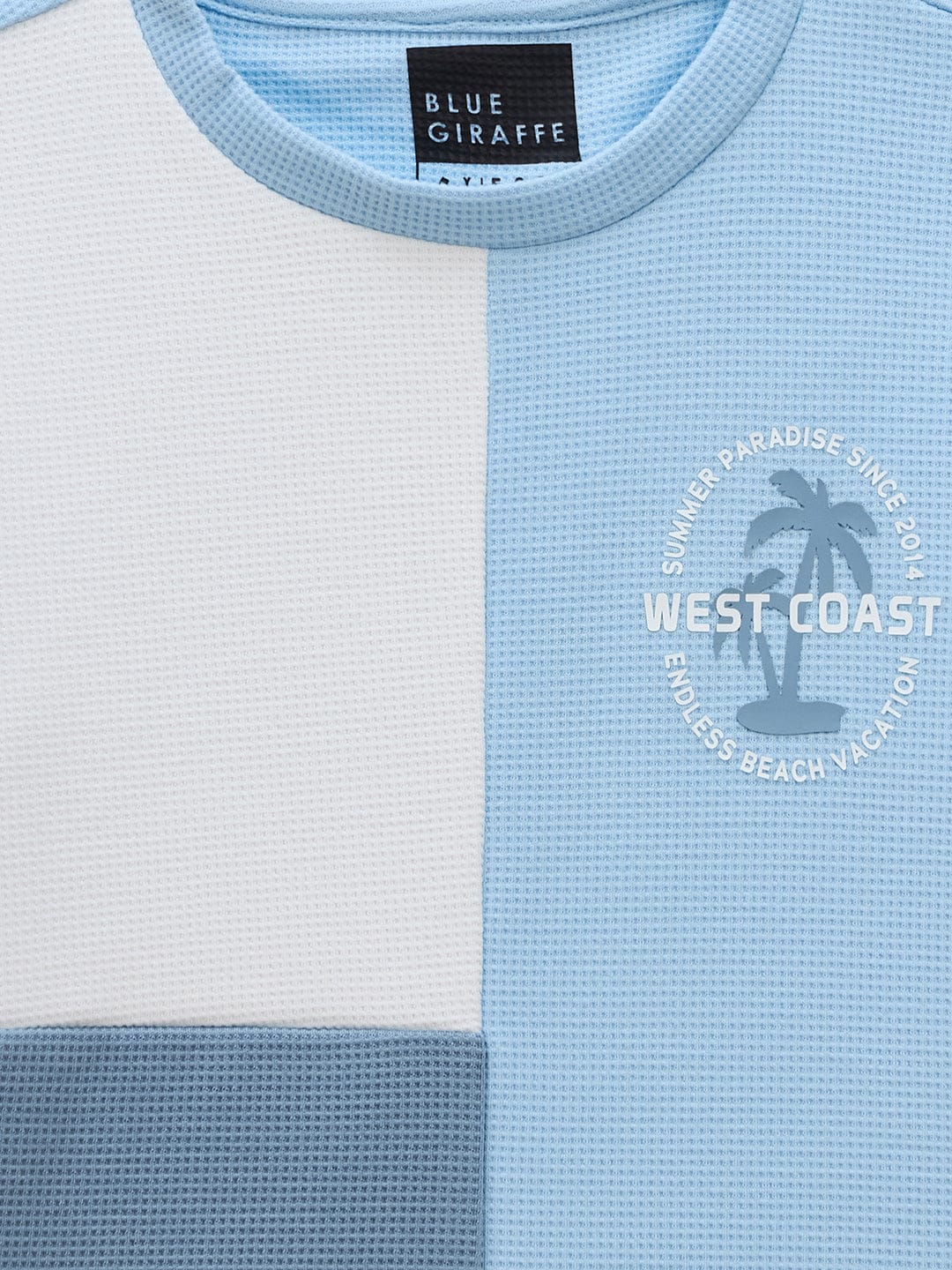 Blue Giraffe Boys Multi Solid Crew Neck TShirt