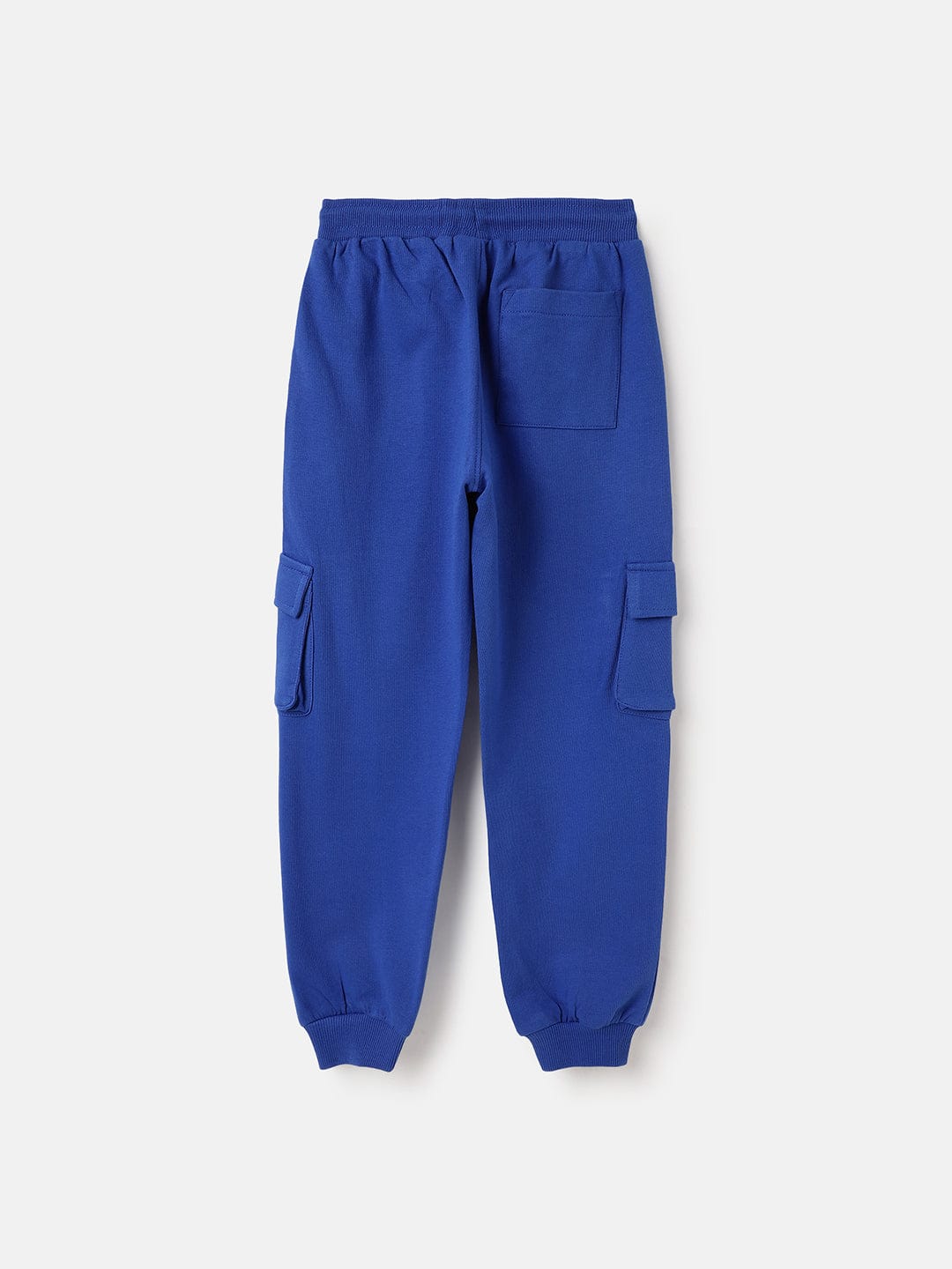 Blue Giraffe Boys Blue Regular Fit Solid Jogger