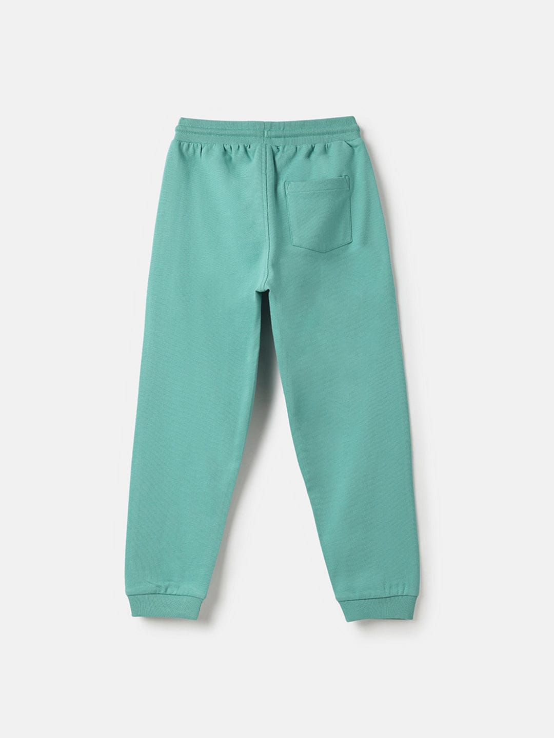 Blue Giraffe Boys Green Regular Fit Solid Jogger