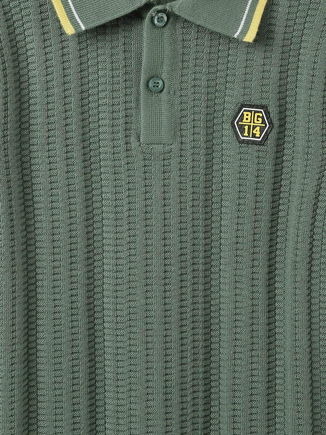 Blue Giraffe Kids Green Textured Polo Tshirt