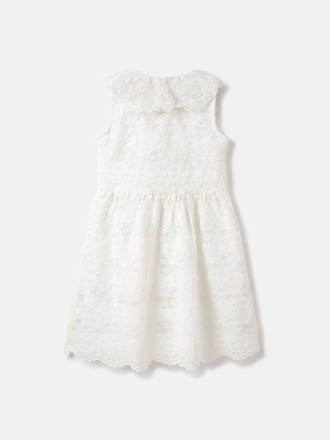 Blue Giraffe Kids White Solid Collar Dress