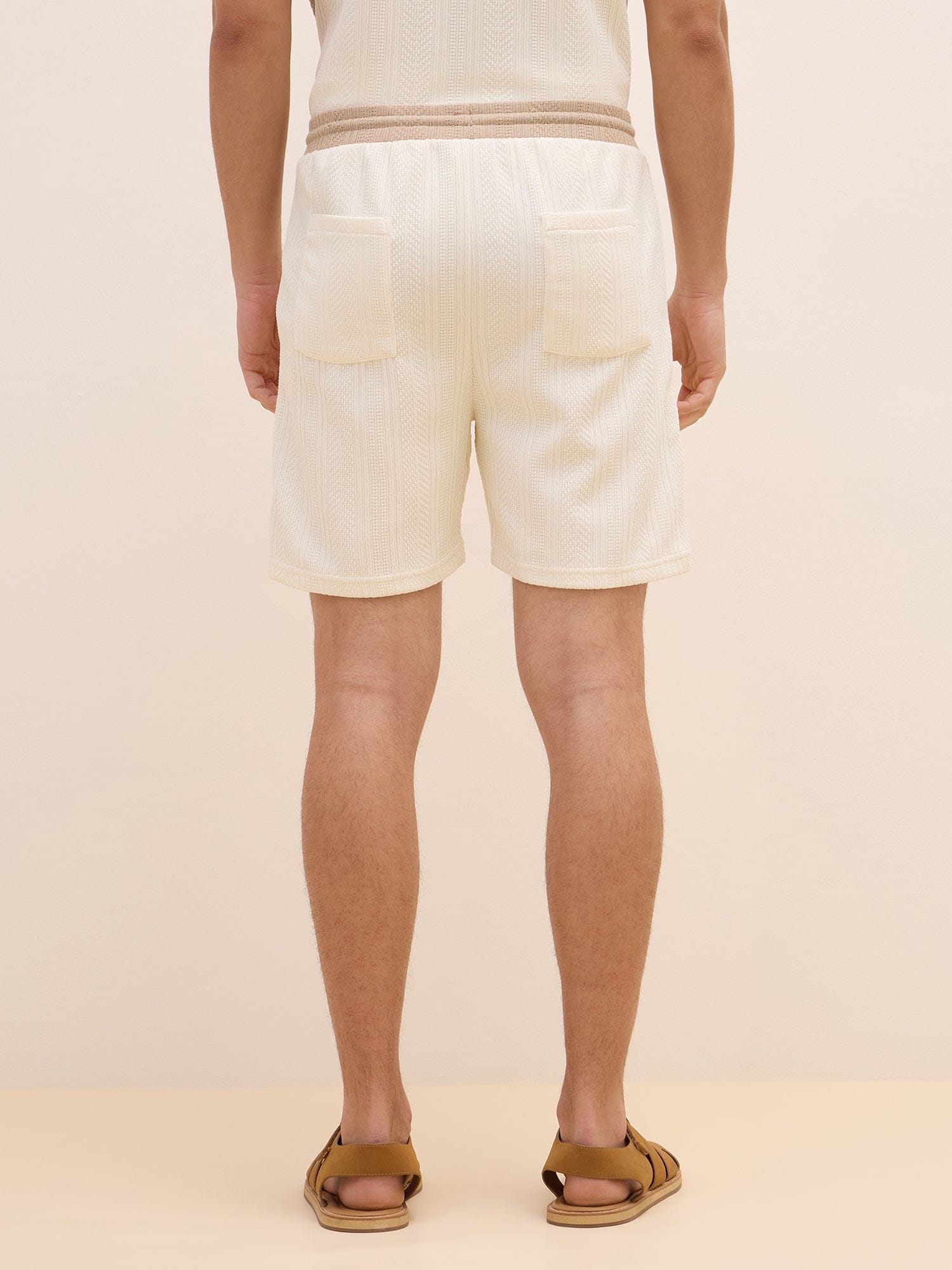 Iconic Men Beige Regular Fit Color Block Shorts