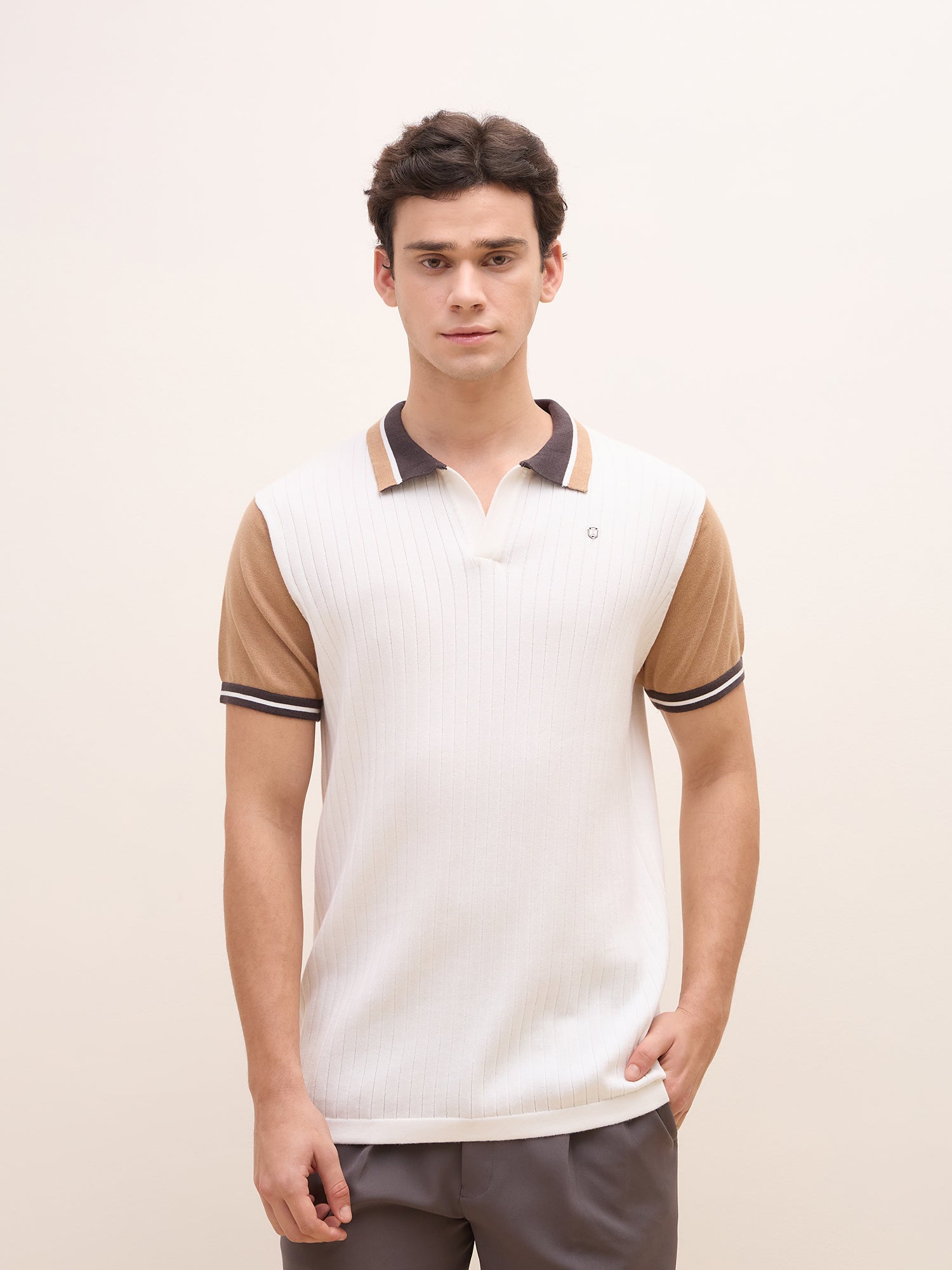Iconic Men White Solid Polo Tshirt
