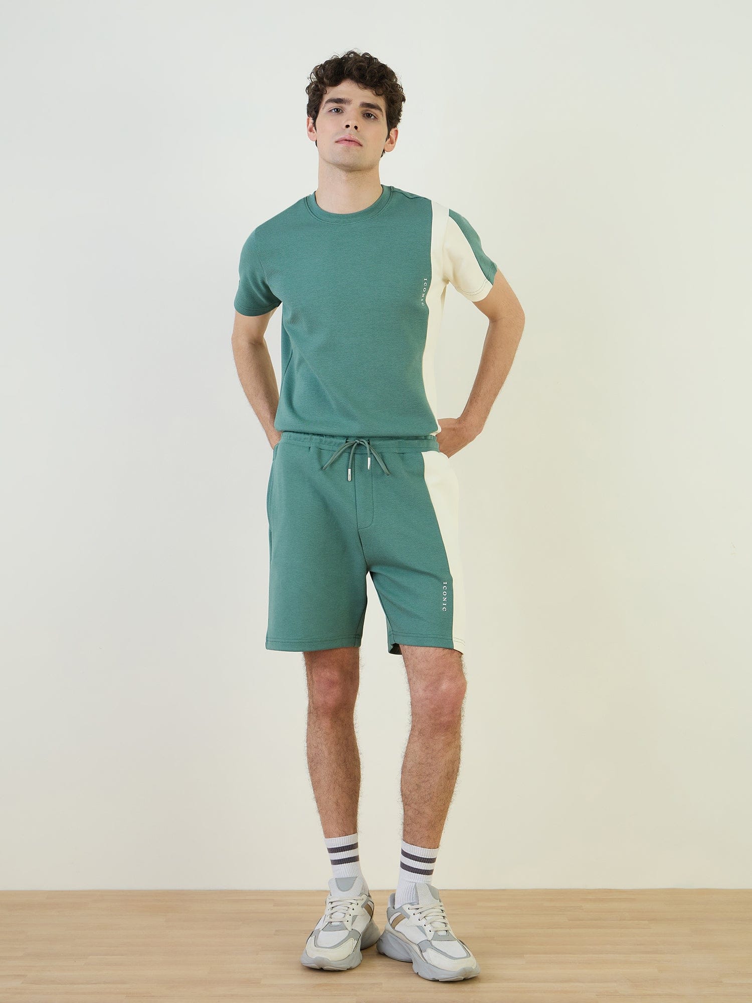 Iconic Men Green Regular Fit Color Block Shorts