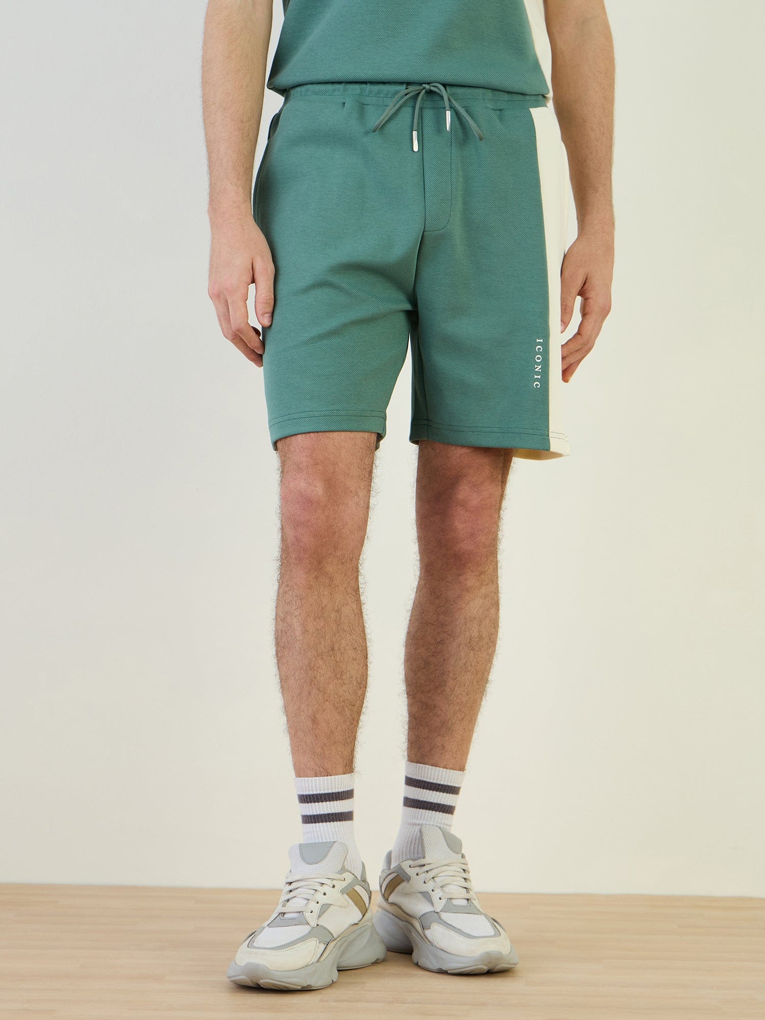 Iconic Men Green Regular Fit Color Block Shorts