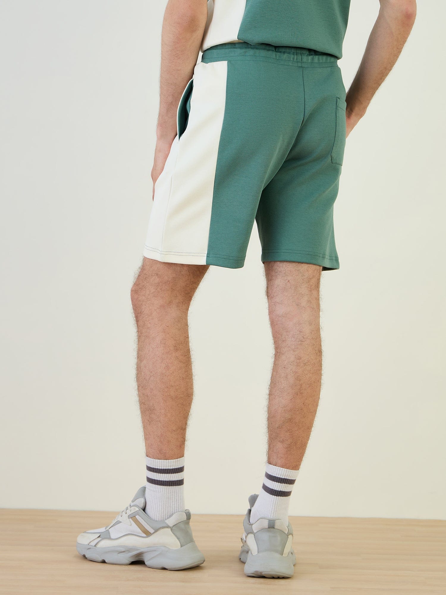 Iconic Men Green Regular Fit Color Block Shorts