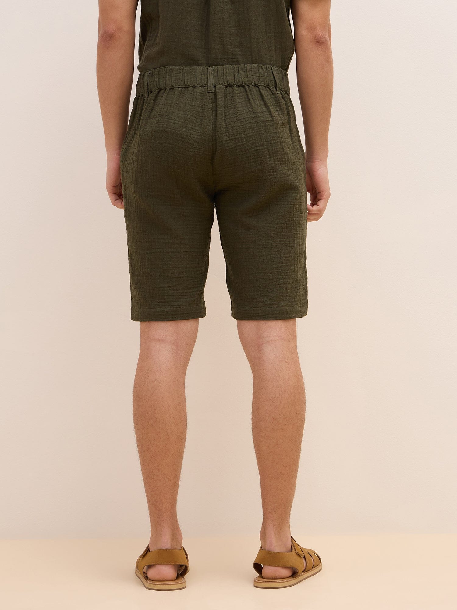 Iconic Men Green Regular Fit Solid Shorts