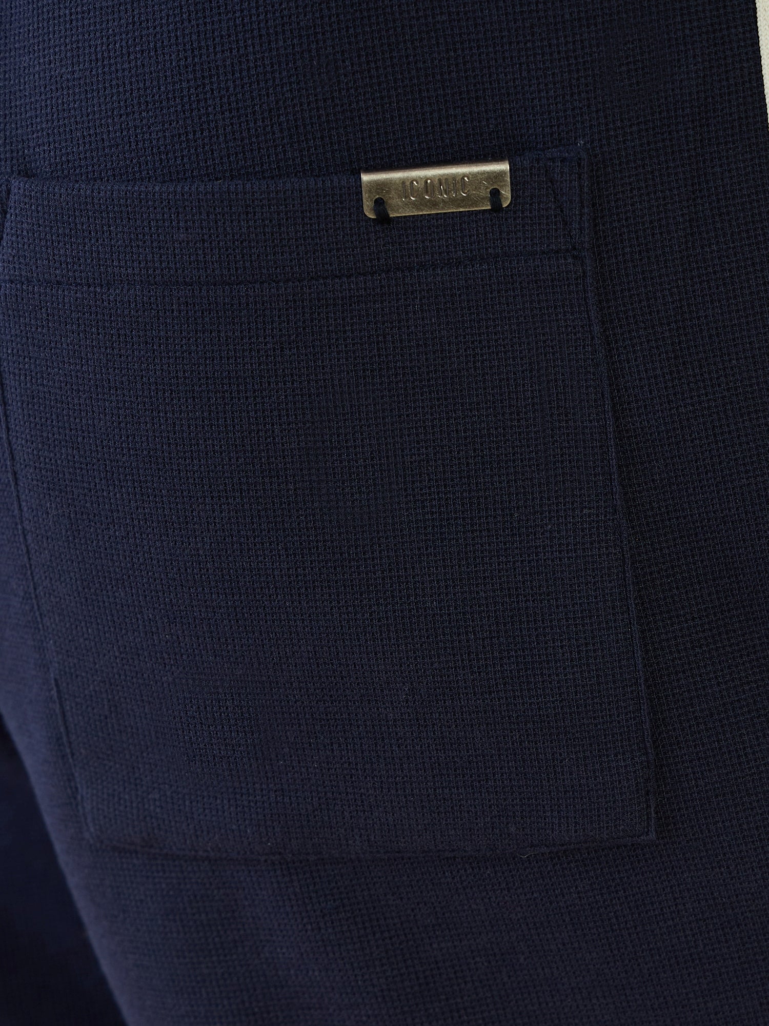 Iconic Men Blue Regular Fit Textured Shorts