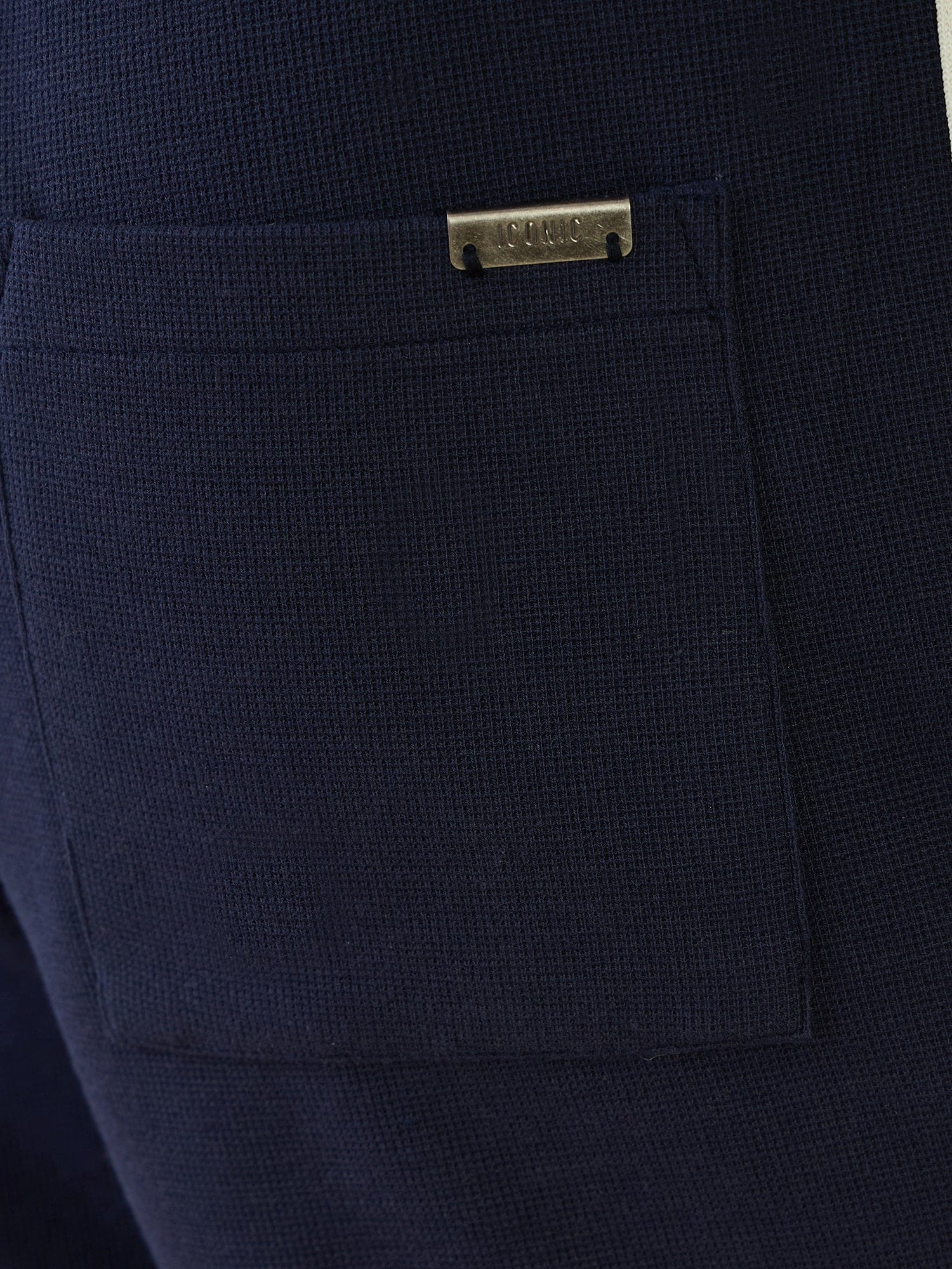 Iconic Men Blue Regular Fit Textured Shorts