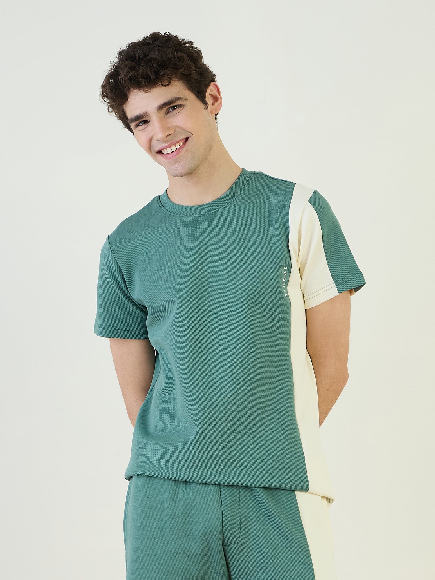 Iconic Men Green Color Block Crew Neck TShirt