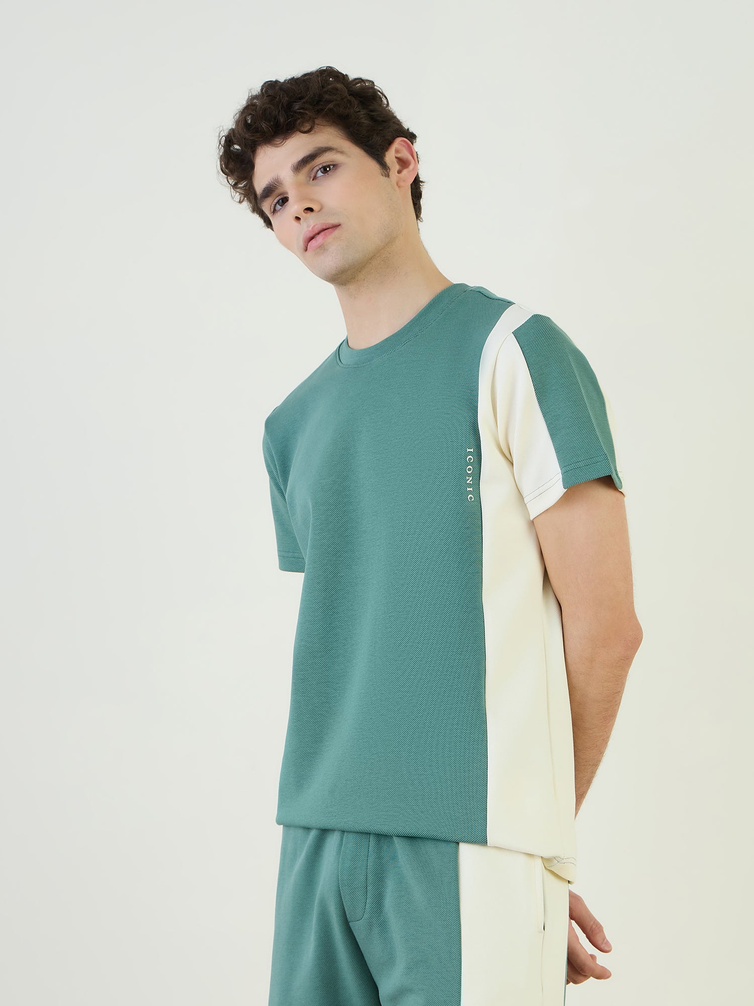 Iconic Men Green Color Block Crew Neck TShirt