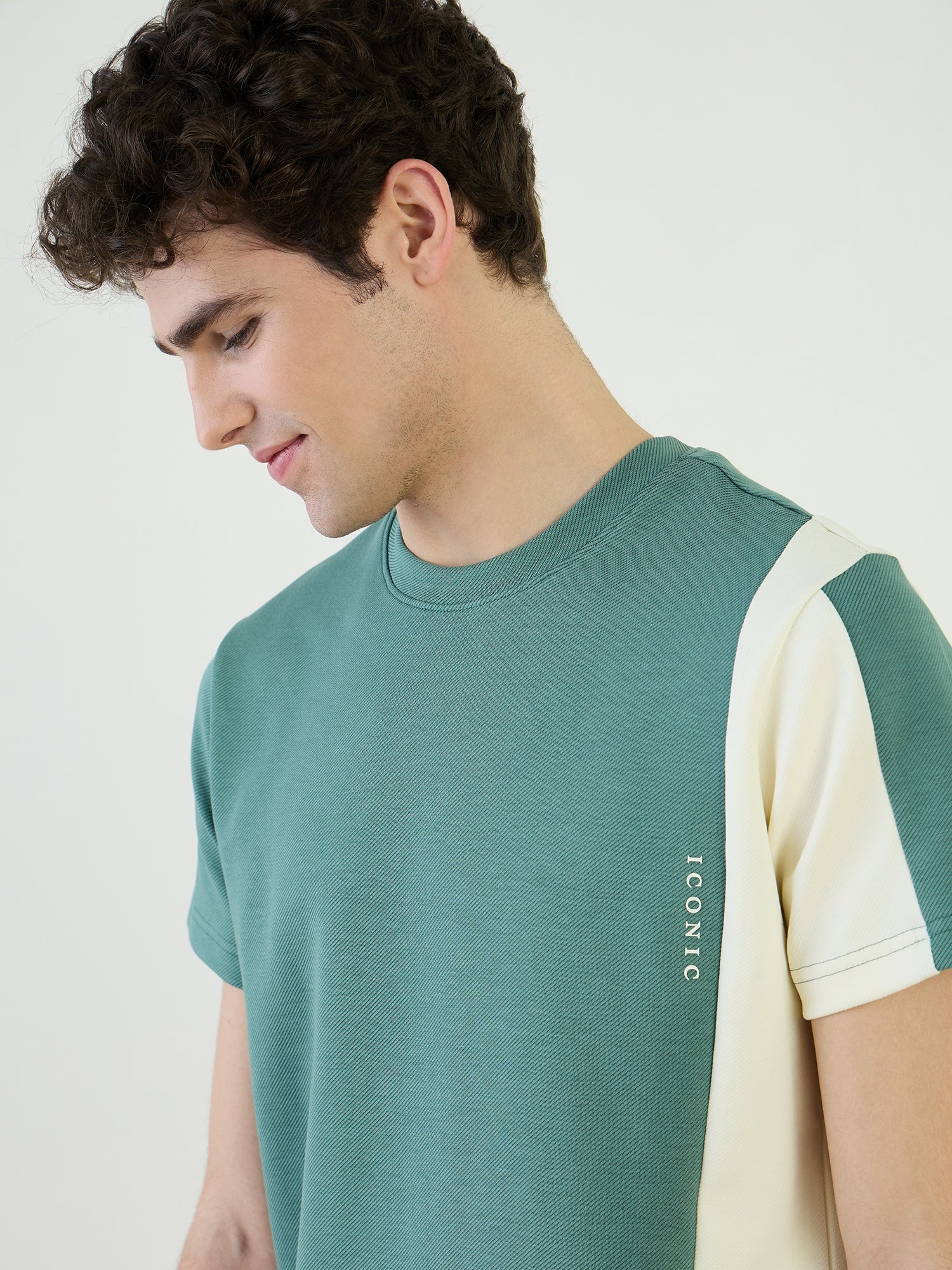 Iconic Men Green Color Block Crew Neck TShirt
