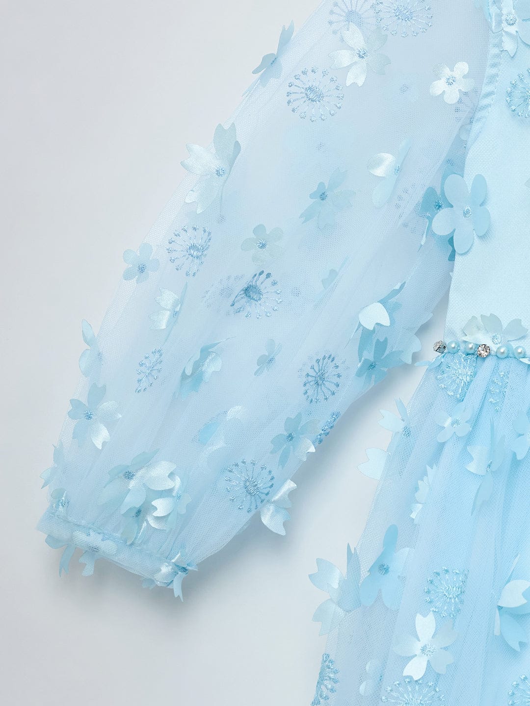 Blue Giraffe Girls Blue Solid Round Neck Dress