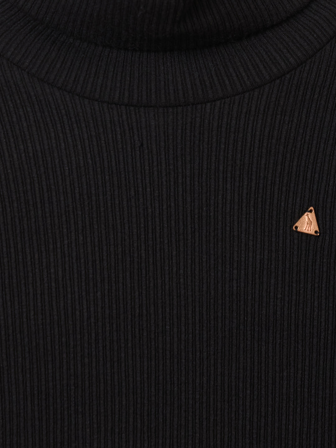 BLUE GIRAFFE Boys Black Textured High Neck T-Shirt