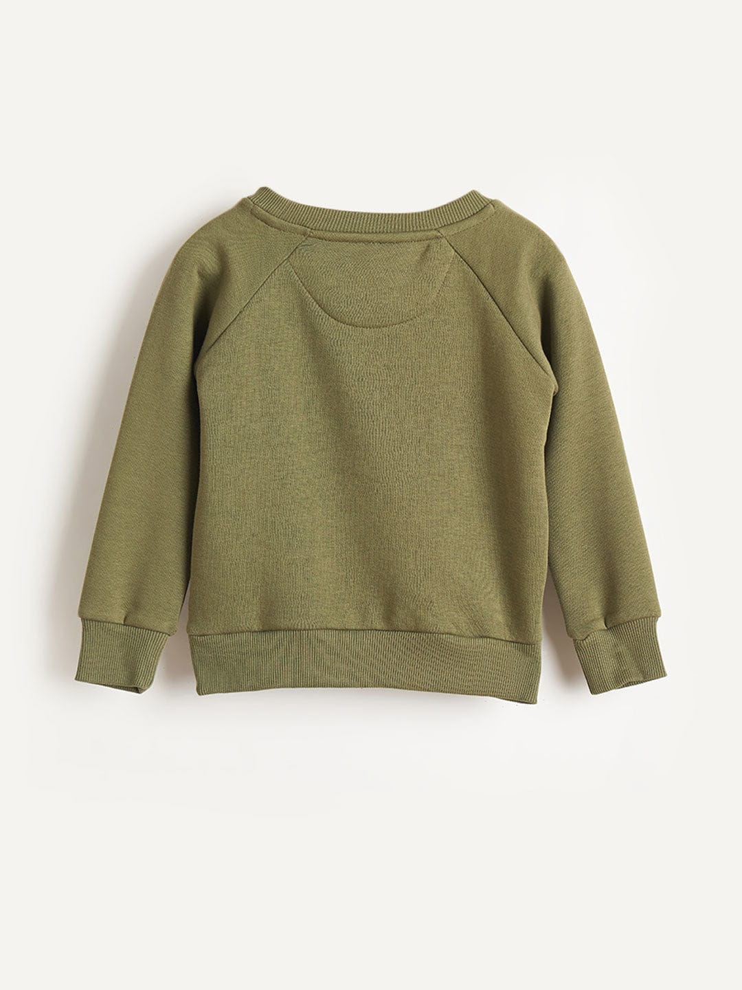 Blue Giraffe Boys Green Solid Round Neck Sweatshirt