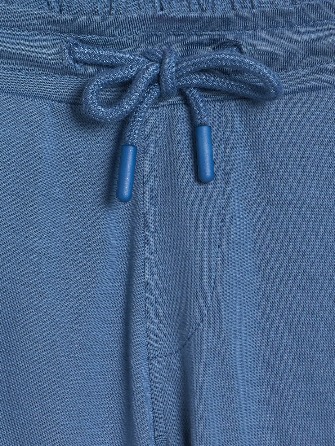 Blue Giraffe Boys Blue Striped Regular Fit Pure Cotton Shorts