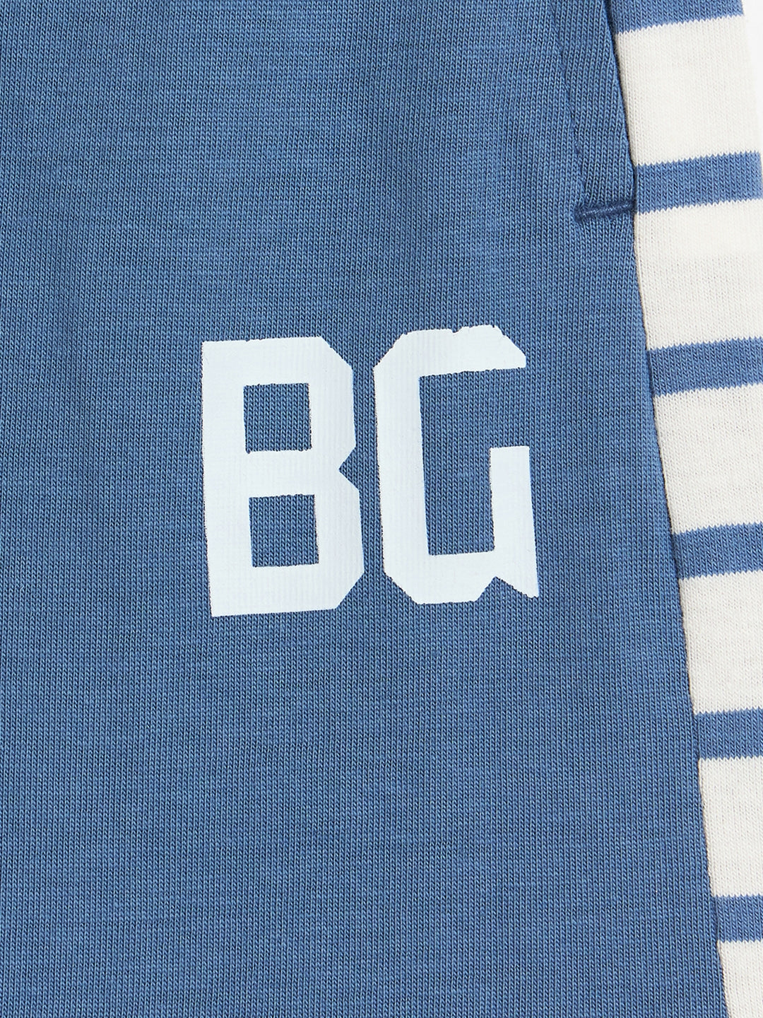 Blue Giraffe Boys Blue Striped Regular Fit Pure Cotton Shorts