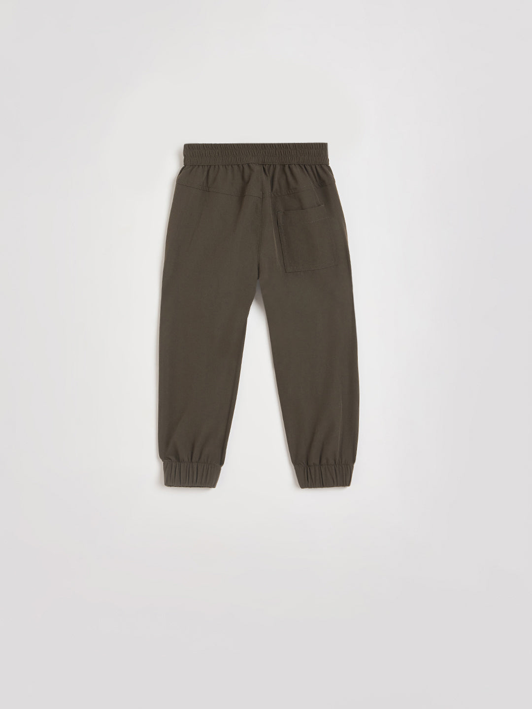 Blue Giraffe Boys Green Solid Regular Fit Jogger