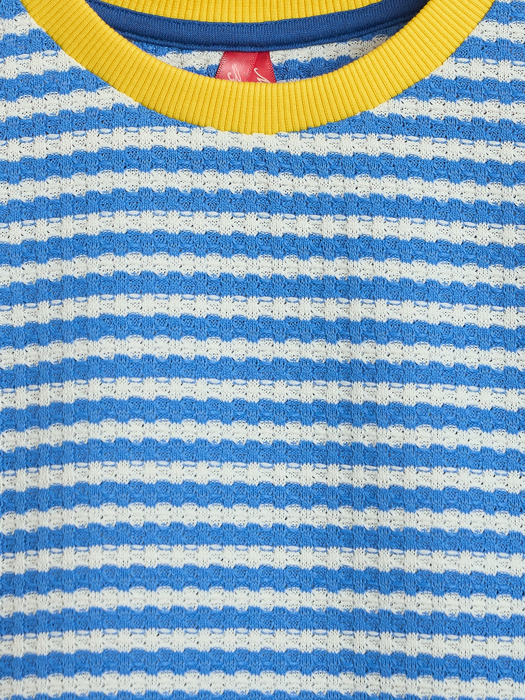 Blue Giraffe Girls Blue Striped Regular Fit T-Shirt