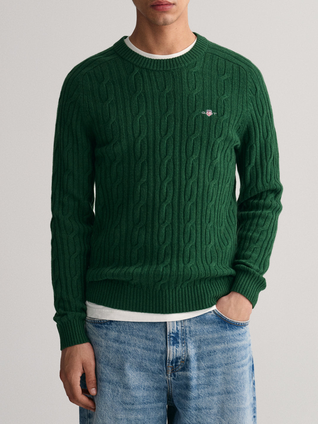 Shop Gant Men Green Solid Round Neck Sweater Online – Iconic India